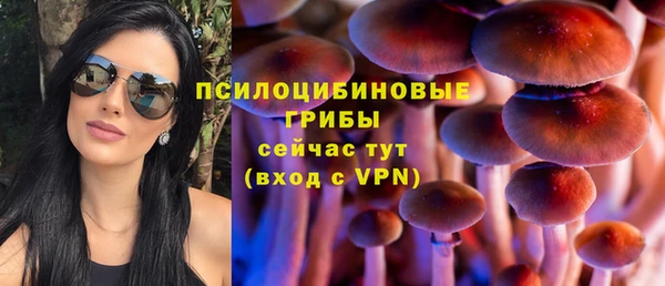 мдпв Лихославль